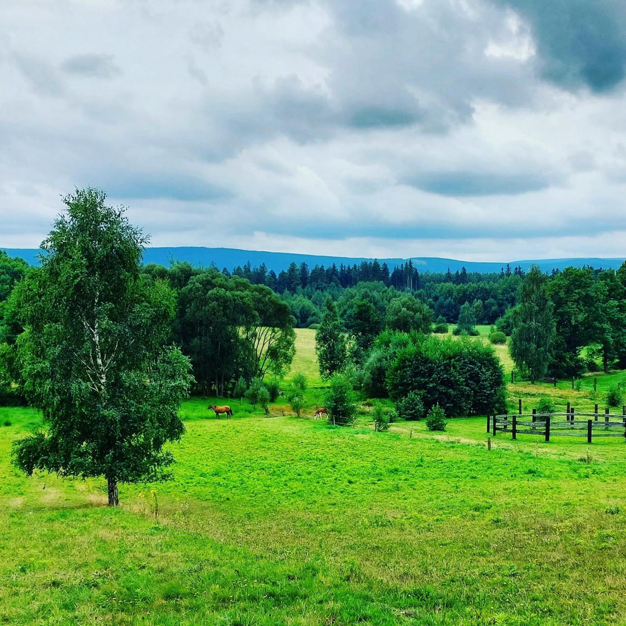 Maja Pokoje Z Widokiem Kameralna Agroturystyka Na Pogorzu Izerskim Z Sauna I Jacuzzi (Adults Only) Mirsk Luaran gambar