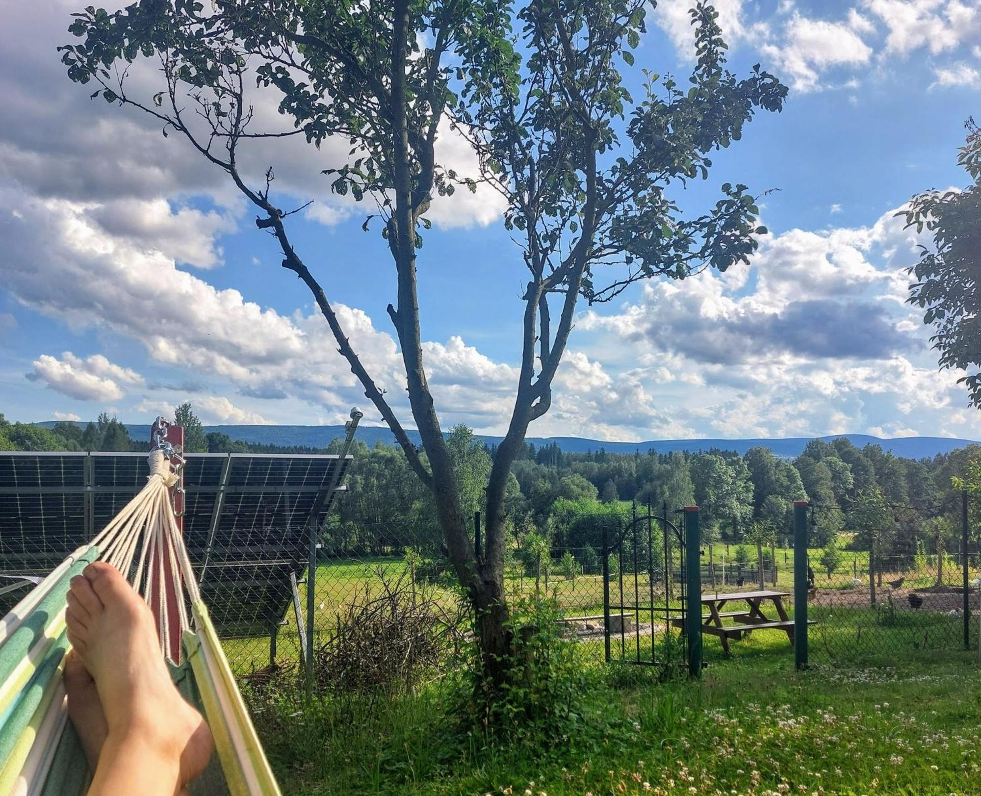 Maja Pokoje Z Widokiem Kameralna Agroturystyka Na Pogorzu Izerskim Z Sauna I Jacuzzi (Adults Only) Mirsk Luaran gambar
